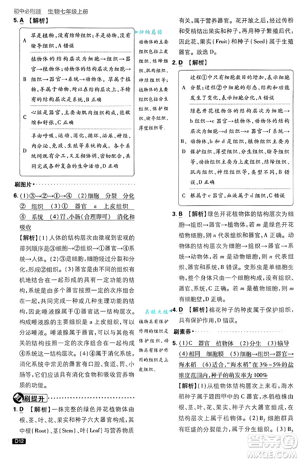 開(kāi)明出版社2025屆初中必刷題拔尖提優(yōu)訓(xùn)練七年級(jí)生物上冊(cè)濟(jì)南版答案