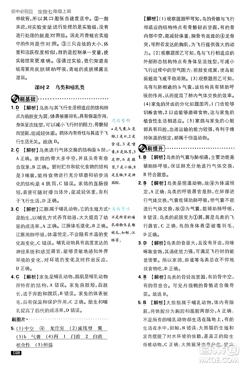 開(kāi)明出版社2025屆初中必刷題拔尖提優(yōu)訓(xùn)練七年級(jí)生物上冊(cè)濟(jì)南版答案