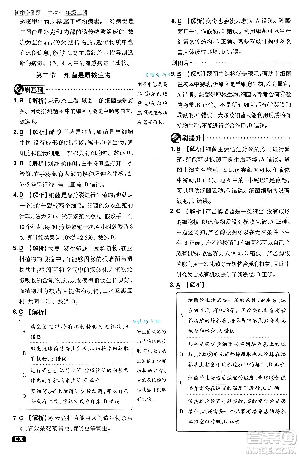開(kāi)明出版社2025屆初中必刷題拔尖提優(yōu)訓(xùn)練七年級(jí)生物上冊(cè)濟(jì)南版答案