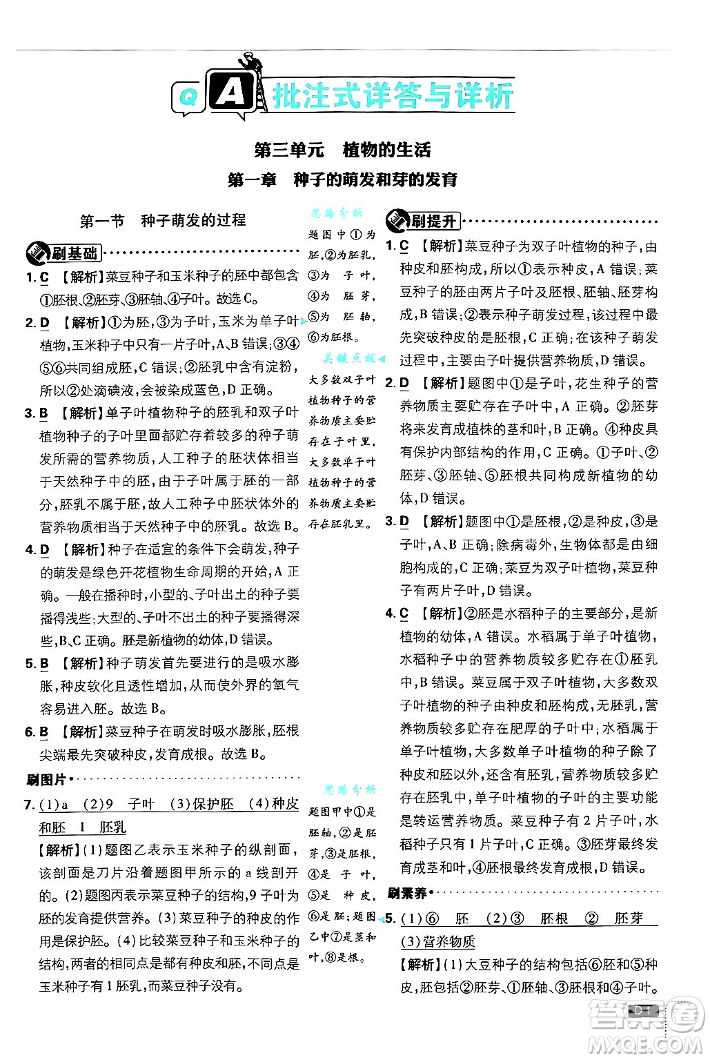 開明出版社2025屆初中必刷題拔尖提優(yōu)訓練八年級生物上冊冀少版答案