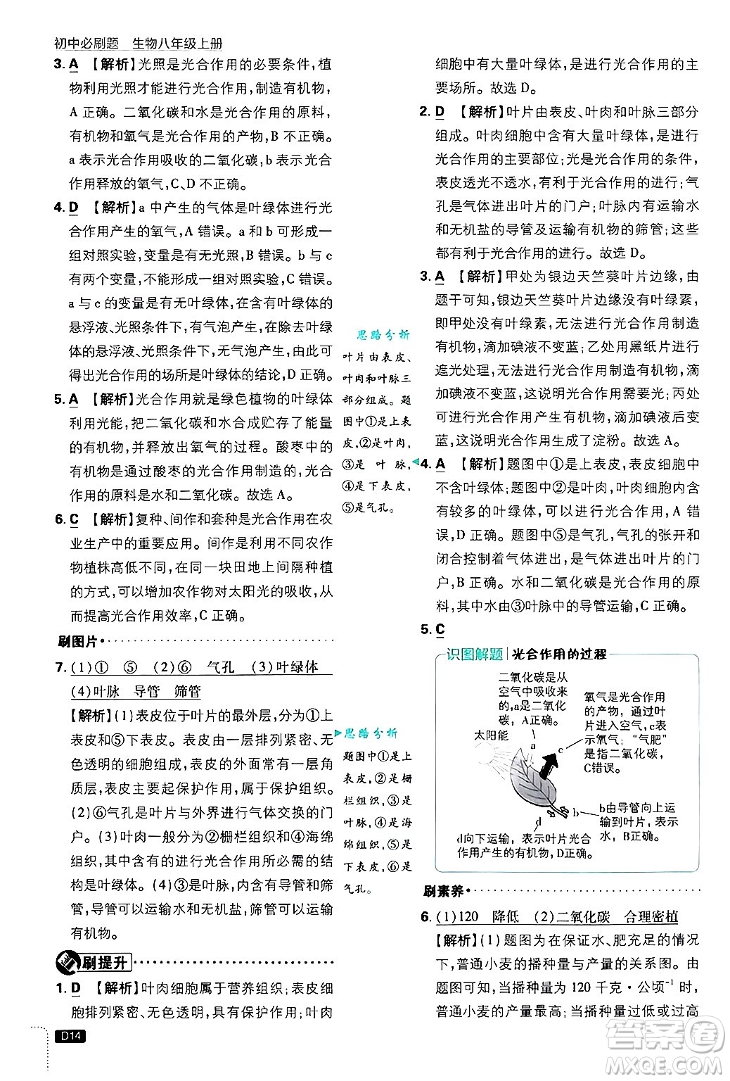 開明出版社2025屆初中必刷題拔尖提優(yōu)訓練八年級生物上冊冀少版答案
