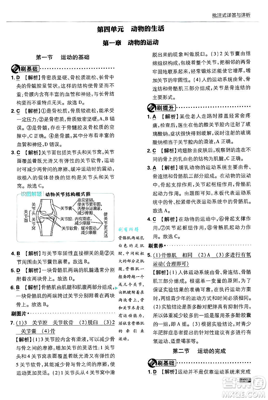 開明出版社2025屆初中必刷題拔尖提優(yōu)訓練八年級生物上冊冀少版答案