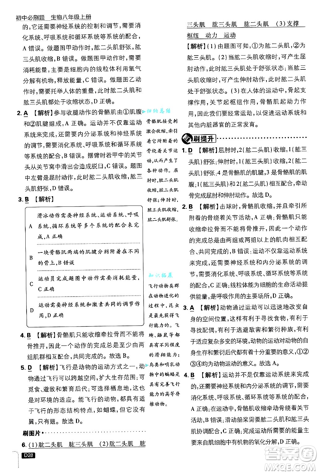 開明出版社2025屆初中必刷題拔尖提優(yōu)訓練八年級生物上冊冀少版答案