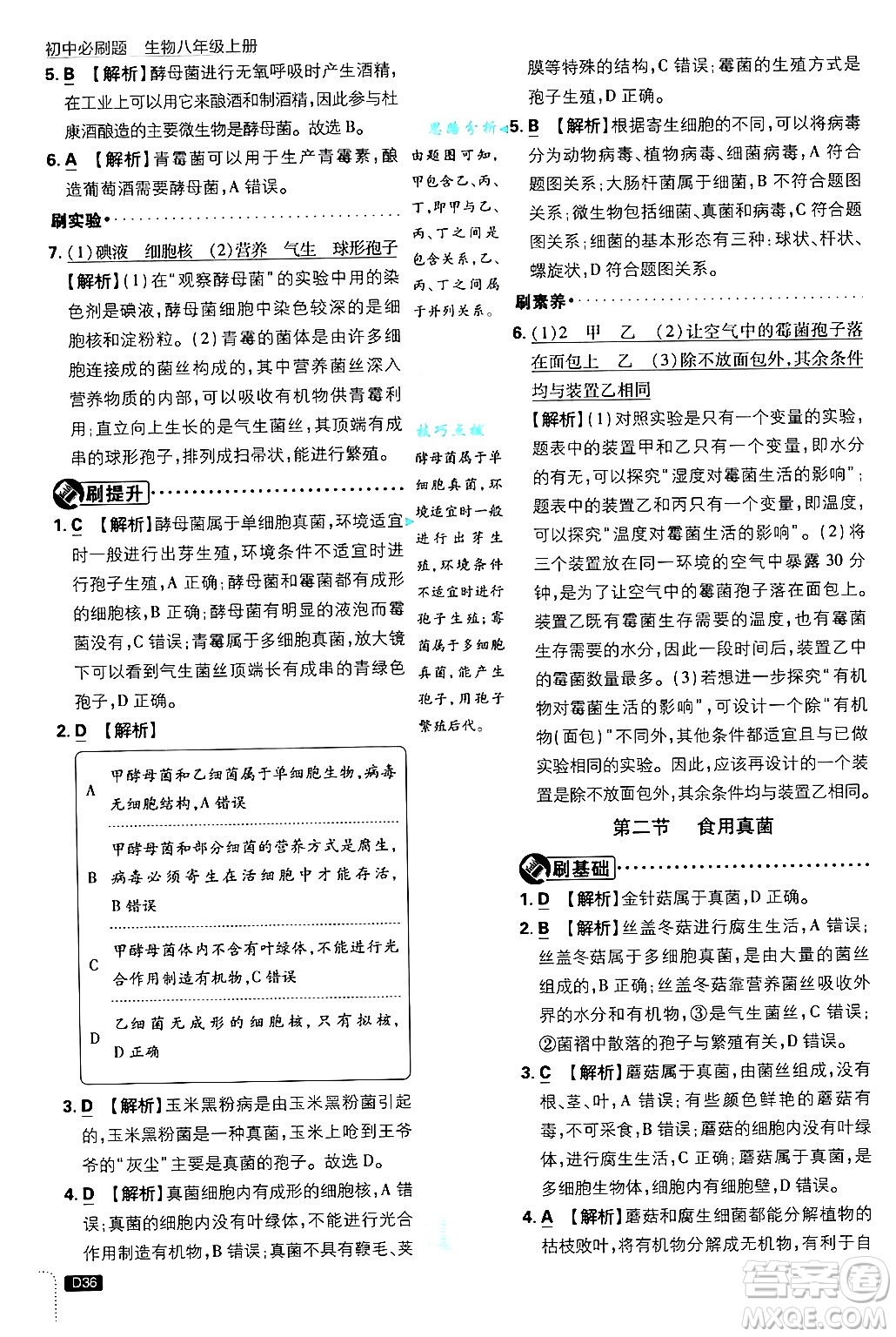 開明出版社2025屆初中必刷題拔尖提優(yōu)訓練八年級生物上冊冀少版答案