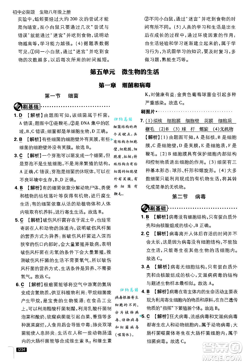 開明出版社2025屆初中必刷題拔尖提優(yōu)訓練八年級生物上冊冀少版答案