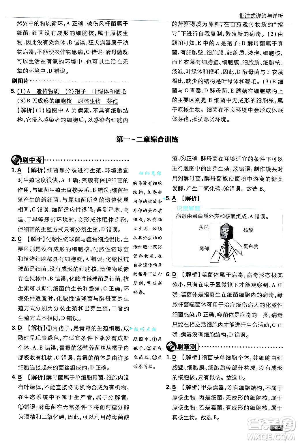 開明出版社2025屆初中必刷題拔尖提優(yōu)訓練八年級生物上冊冀少版答案