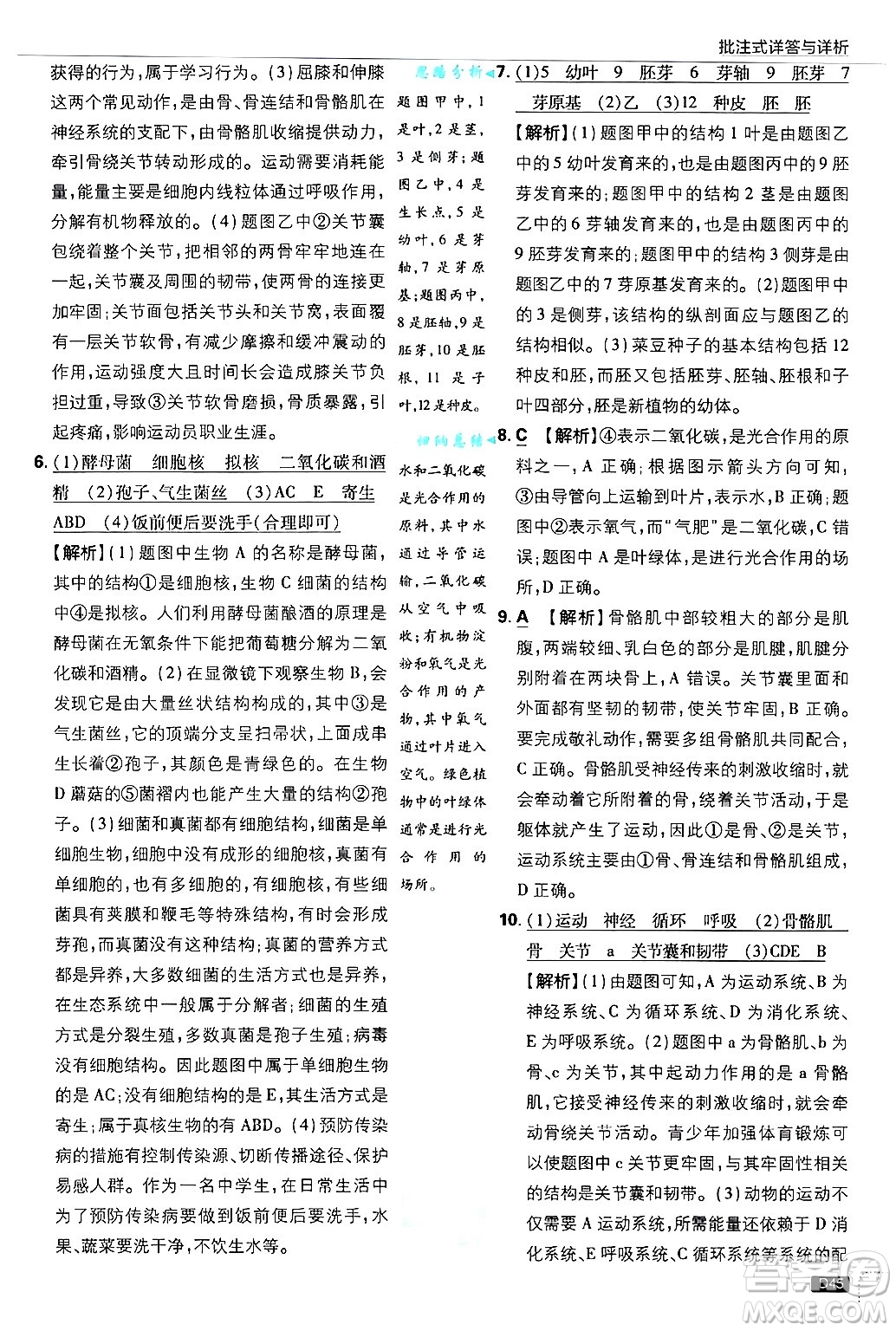 開明出版社2025屆初中必刷題拔尖提優(yōu)訓練八年級生物上冊冀少版答案
