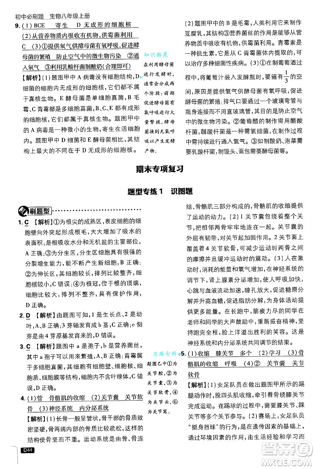 開明出版社2025屆初中必刷題拔尖提優(yōu)訓練八年級生物上冊冀少版答案