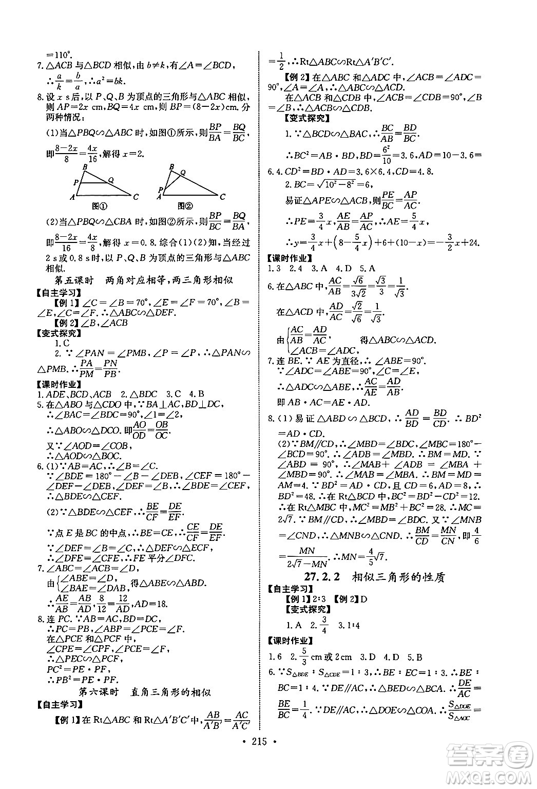 長江少年兒童出版社2025年秋長江全能學案同步練習冊九年級數(shù)學全一冊人教版答案