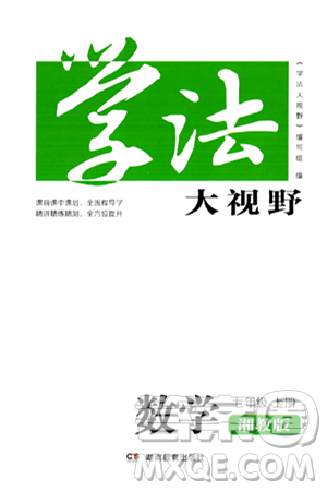 湖南教育出版社2024年秋學(xué)法大視野七年級(jí)數(shù)學(xué)上冊(cè)湘教版答案