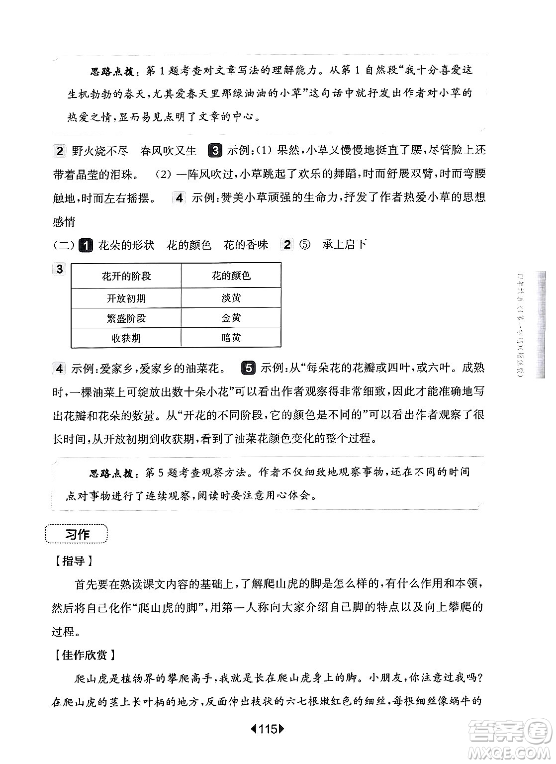 華東師范大學出版社2024年秋華東師大版一課一練四年級語文上冊華師版增強版上海專版答案