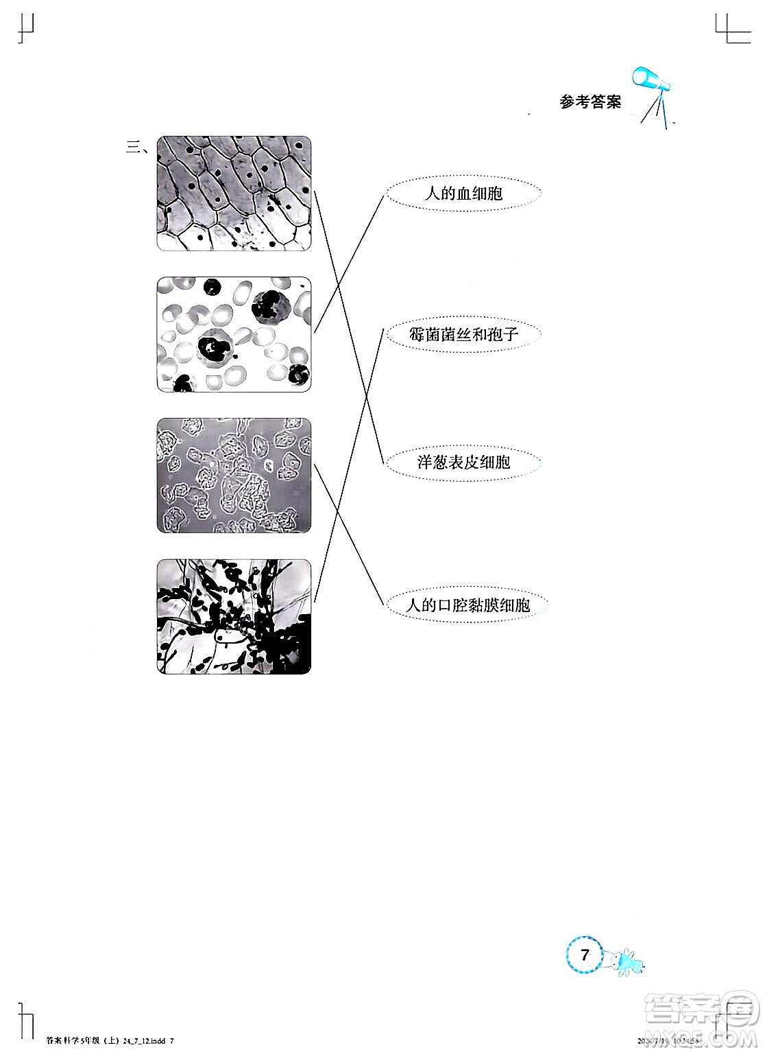 湖北教育出版社2024年秋長江作業(yè)本課堂作業(yè)五年級(jí)科學(xué)上冊(cè)人教版答案