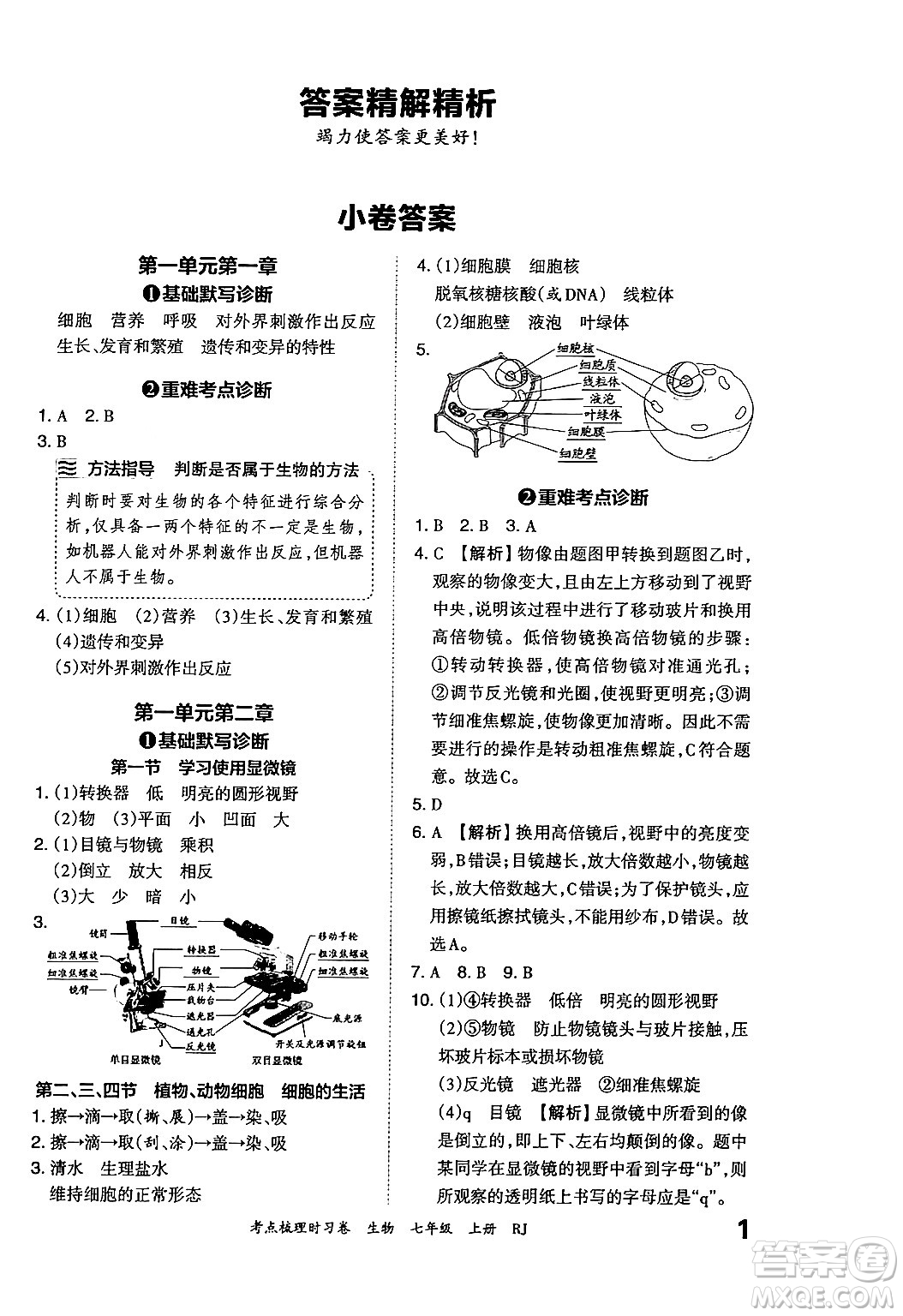 江西人民出版社2024年秋王朝霞考點(diǎn)梳理時(shí)習(xí)卷七年級生物上冊人教版答案