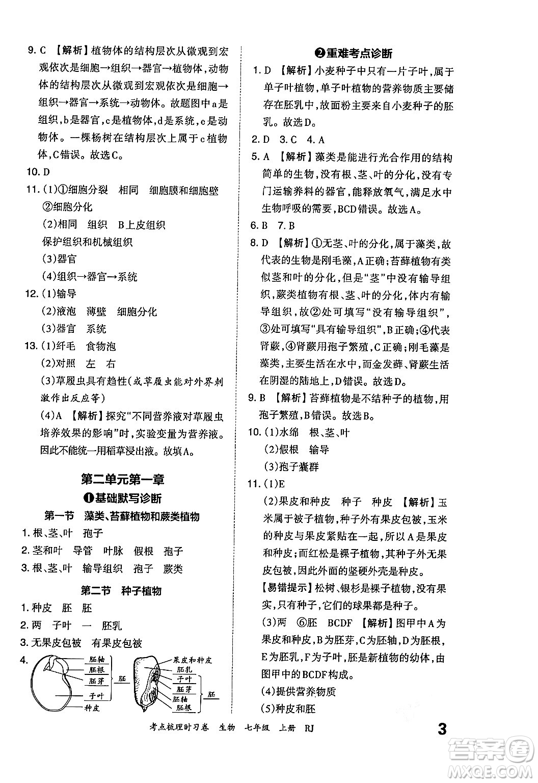 江西人民出版社2024年秋王朝霞考點(diǎn)梳理時(shí)習(xí)卷七年級生物上冊人教版答案