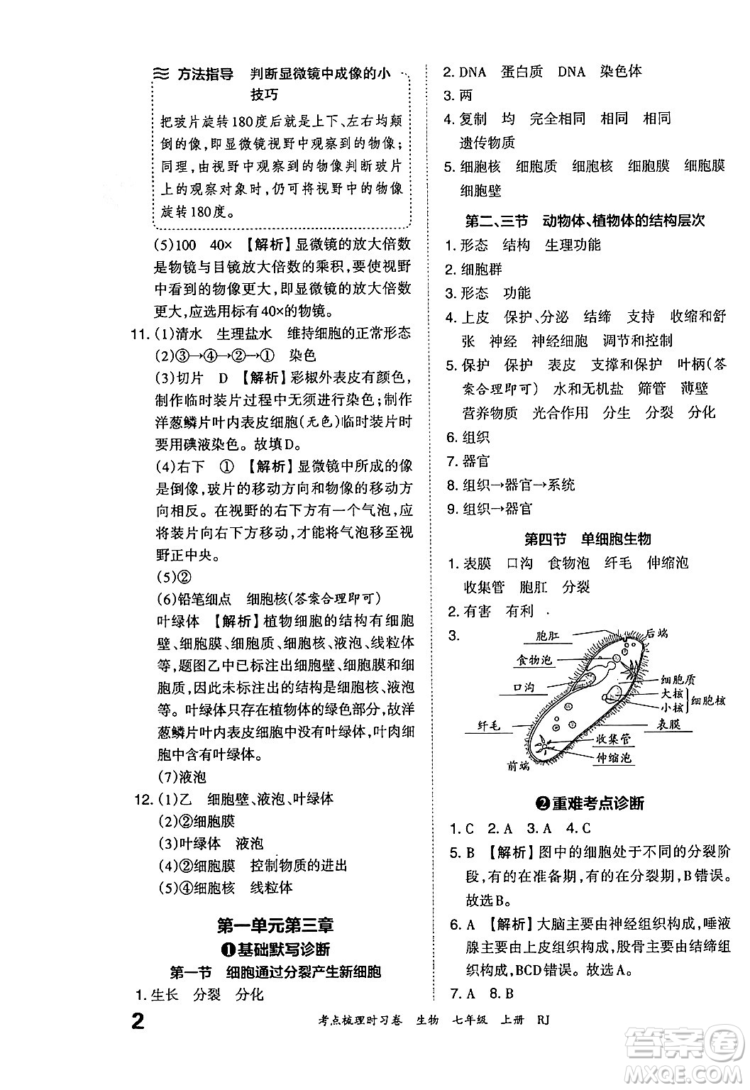江西人民出版社2024年秋王朝霞考點(diǎn)梳理時(shí)習(xí)卷七年級生物上冊人教版答案