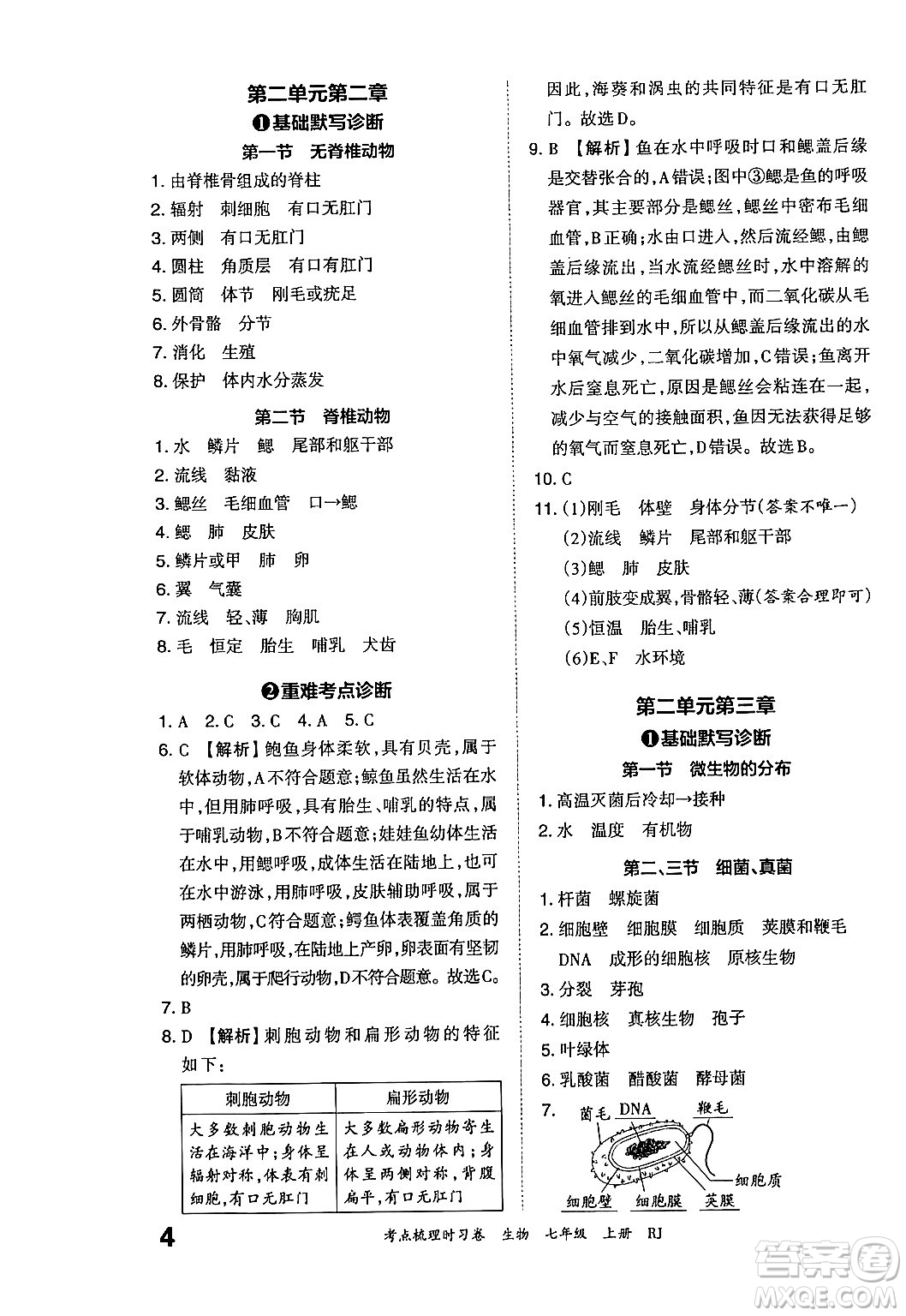 江西人民出版社2024年秋王朝霞考點(diǎn)梳理時(shí)習(xí)卷七年級生物上冊人教版答案
