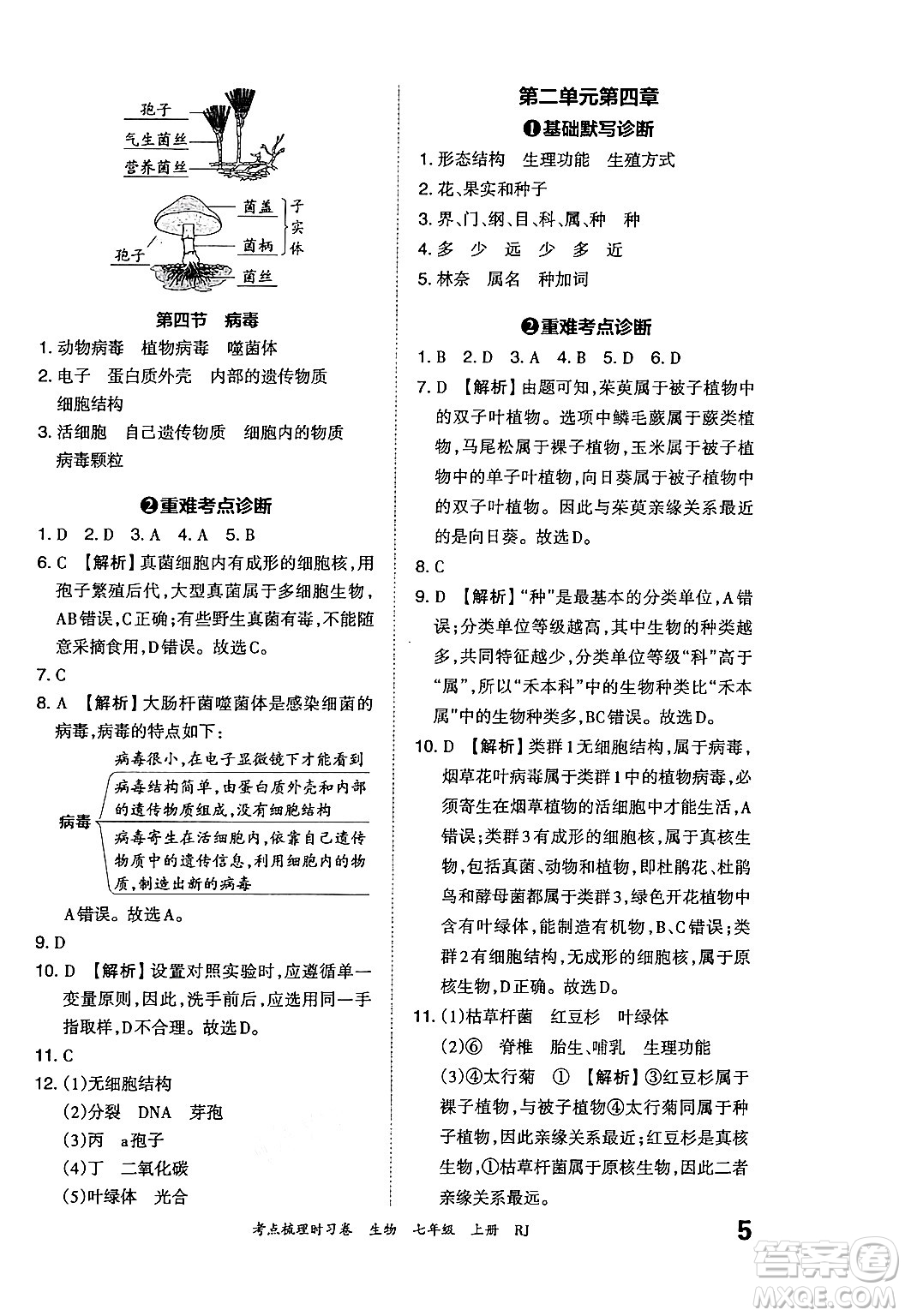 江西人民出版社2024年秋王朝霞考點(diǎn)梳理時(shí)習(xí)卷七年級生物上冊人教版答案