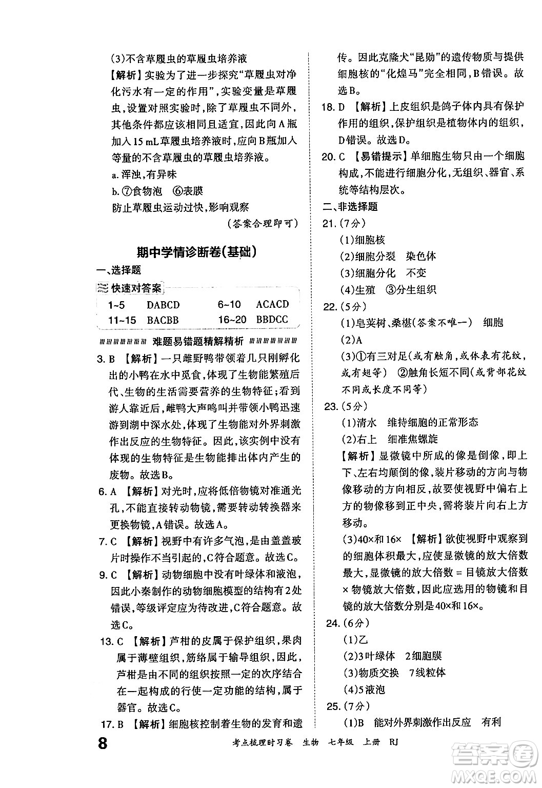 江西人民出版社2024年秋王朝霞考點(diǎn)梳理時(shí)習(xí)卷七年級生物上冊人教版答案