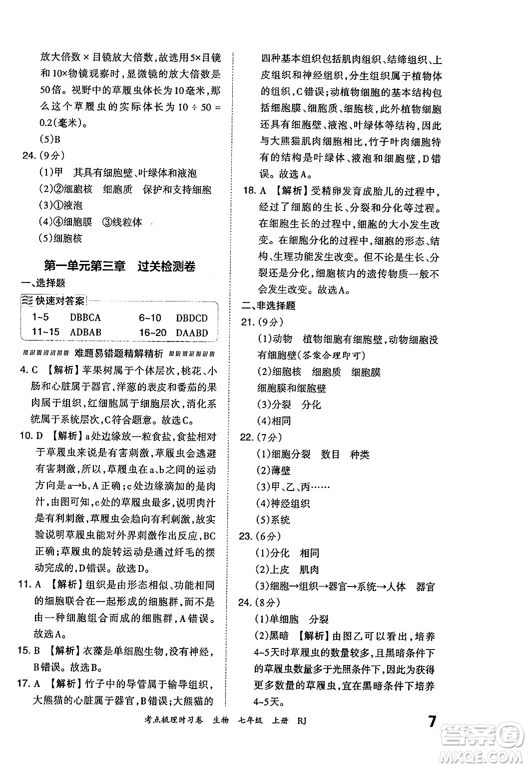 江西人民出版社2024年秋王朝霞考點(diǎn)梳理時(shí)習(xí)卷七年級生物上冊人教版答案
