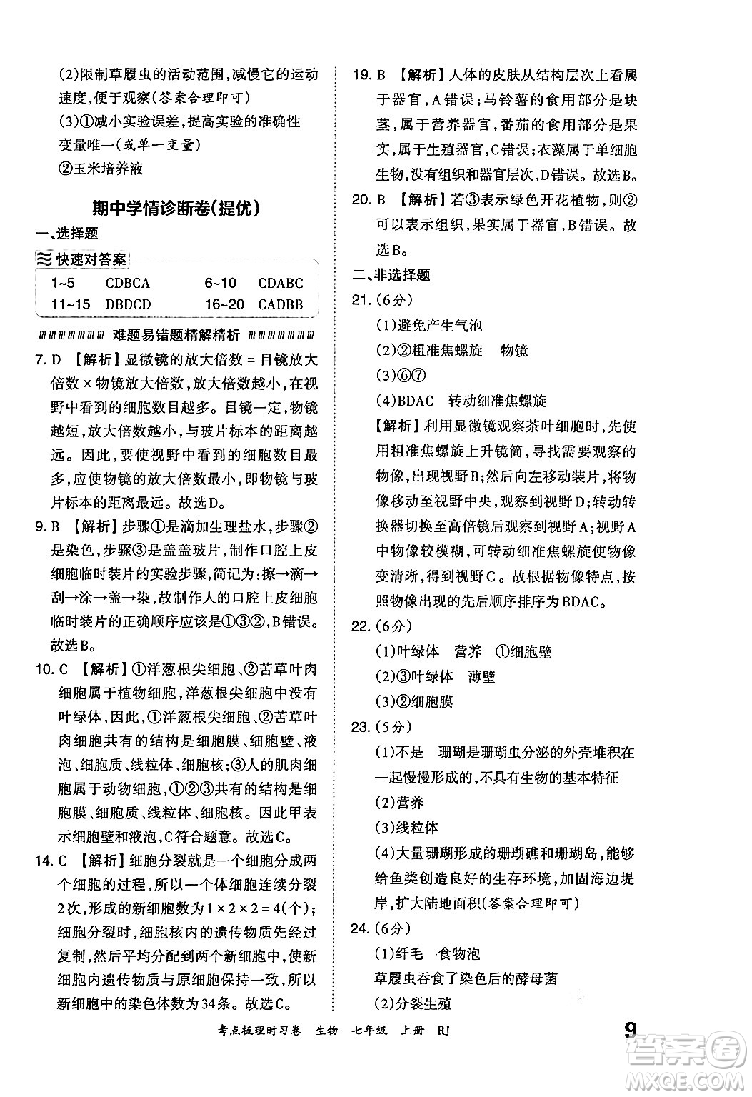 江西人民出版社2024年秋王朝霞考點(diǎn)梳理時(shí)習(xí)卷七年級生物上冊人教版答案