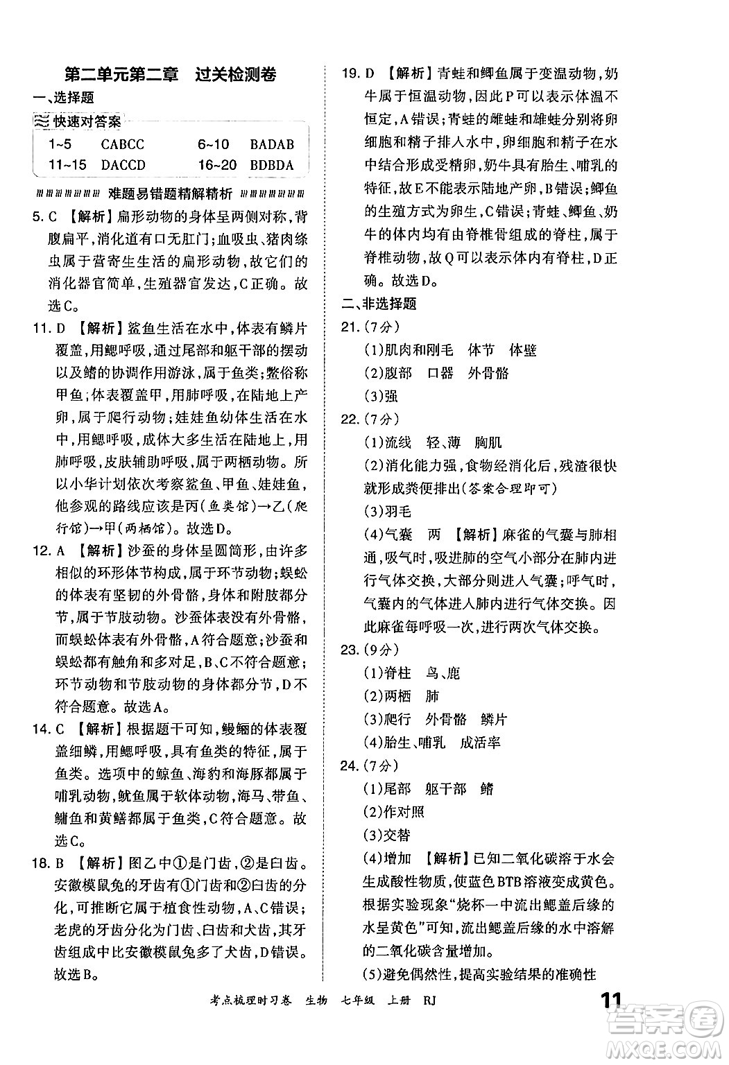 江西人民出版社2024年秋王朝霞考點(diǎn)梳理時(shí)習(xí)卷七年級生物上冊人教版答案