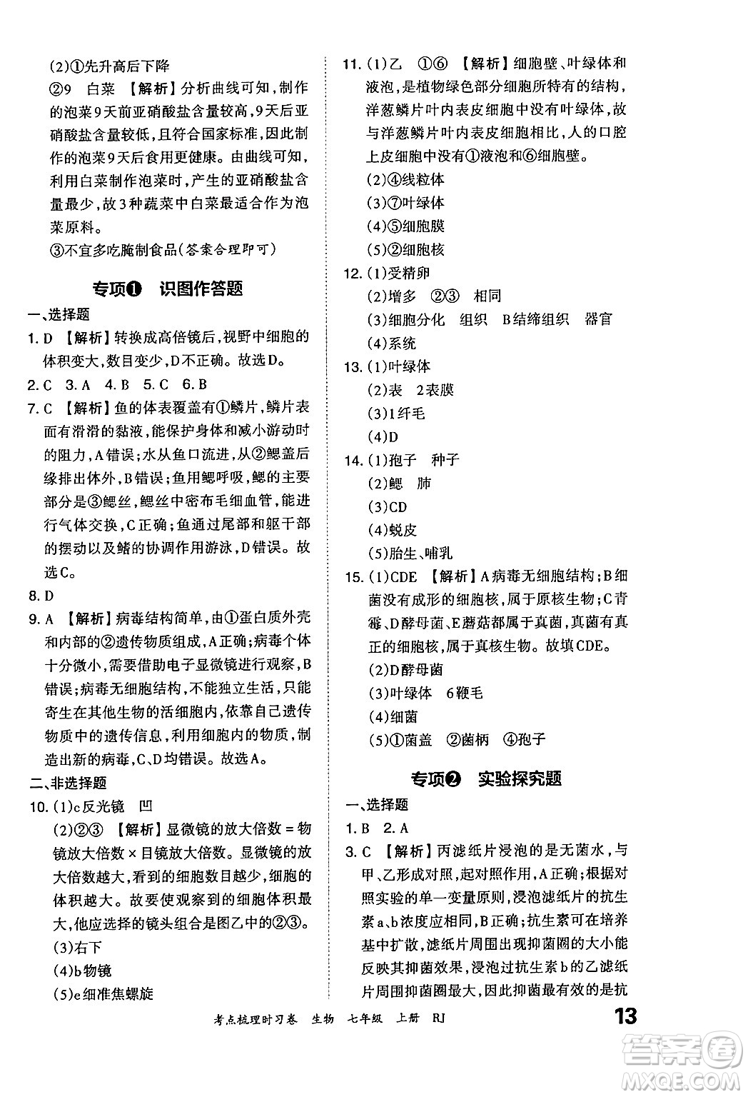 江西人民出版社2024年秋王朝霞考點(diǎn)梳理時(shí)習(xí)卷七年級生物上冊人教版答案