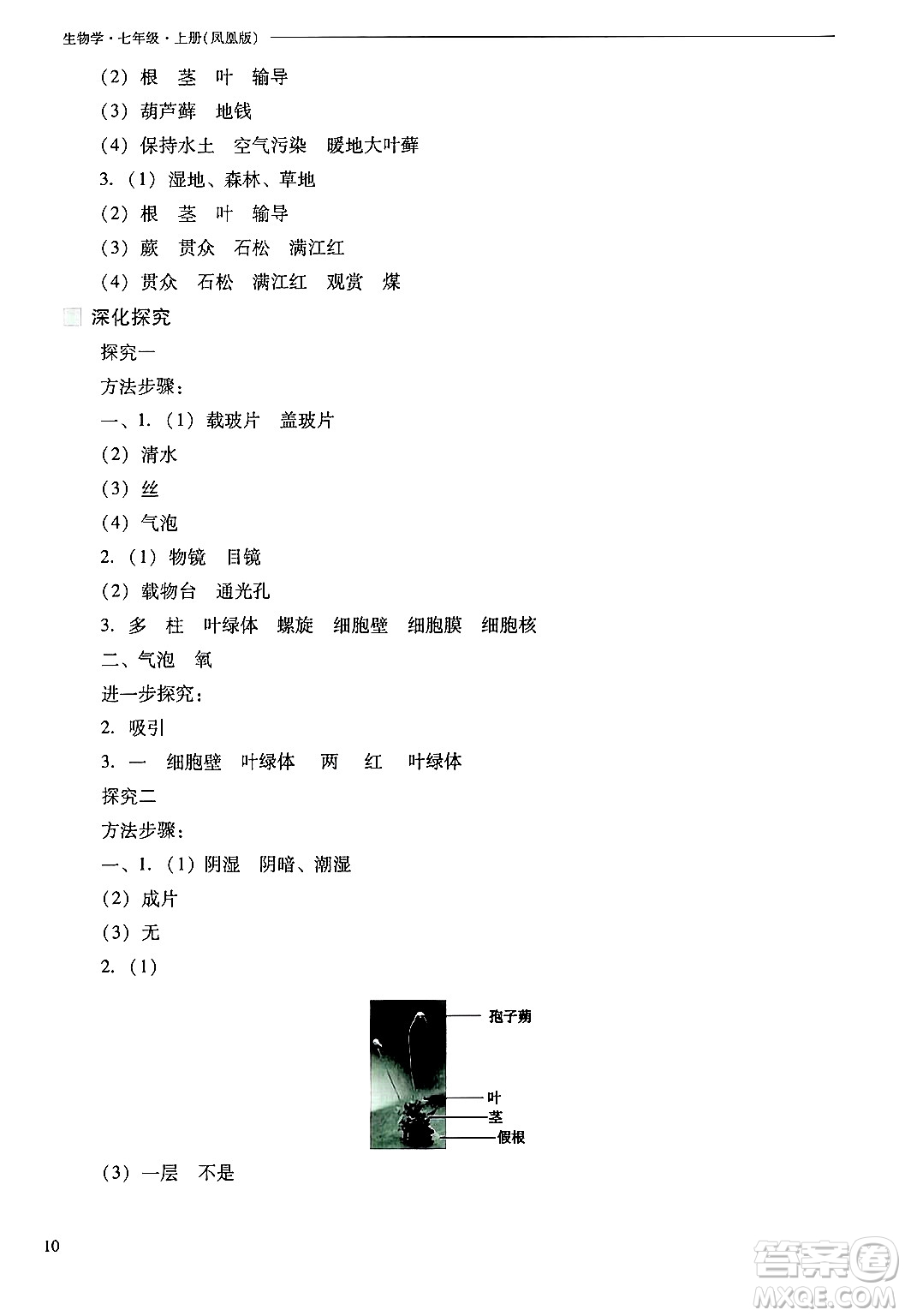 山西教育出版社2024年秋新課程問題解決導(dǎo)學(xué)方案七年級生物上冊鳳凰版答案