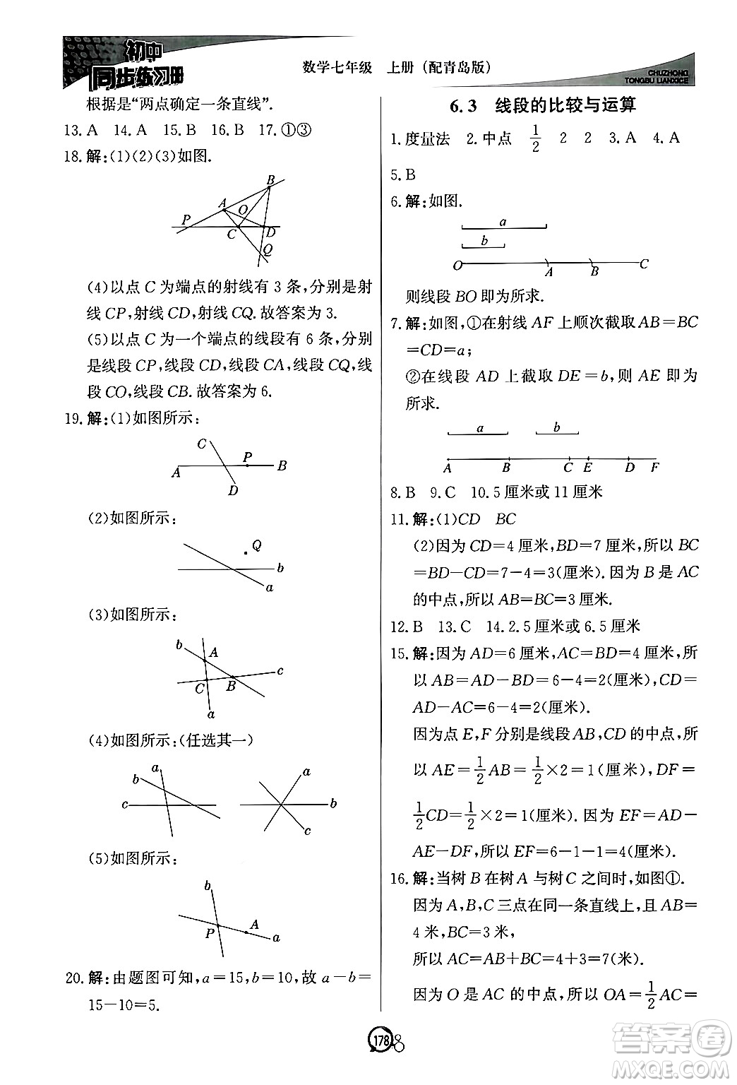 北京教育出版社2024秋初中同步練習(xí)冊(cè)七年級(jí)數(shù)學(xué)上冊(cè)青島版答案