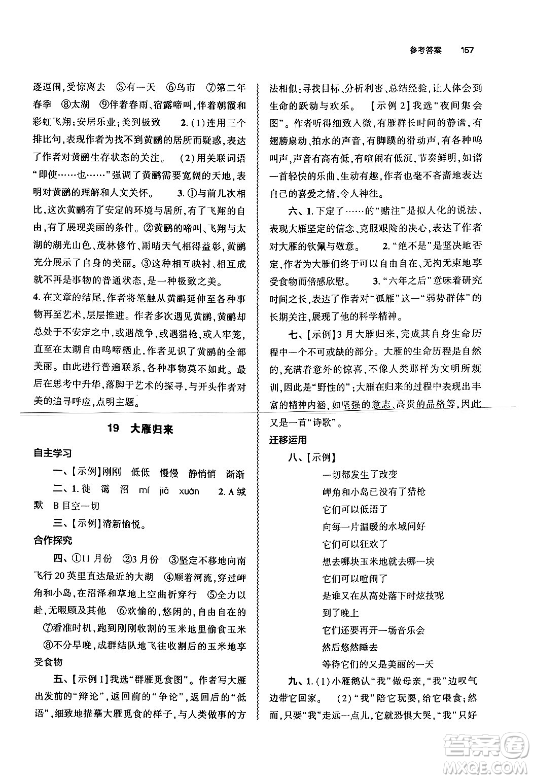 大象出版社2024秋初中同步練習(xí)冊(cè)七年級(jí)語文上冊(cè)人教版山東專版答案