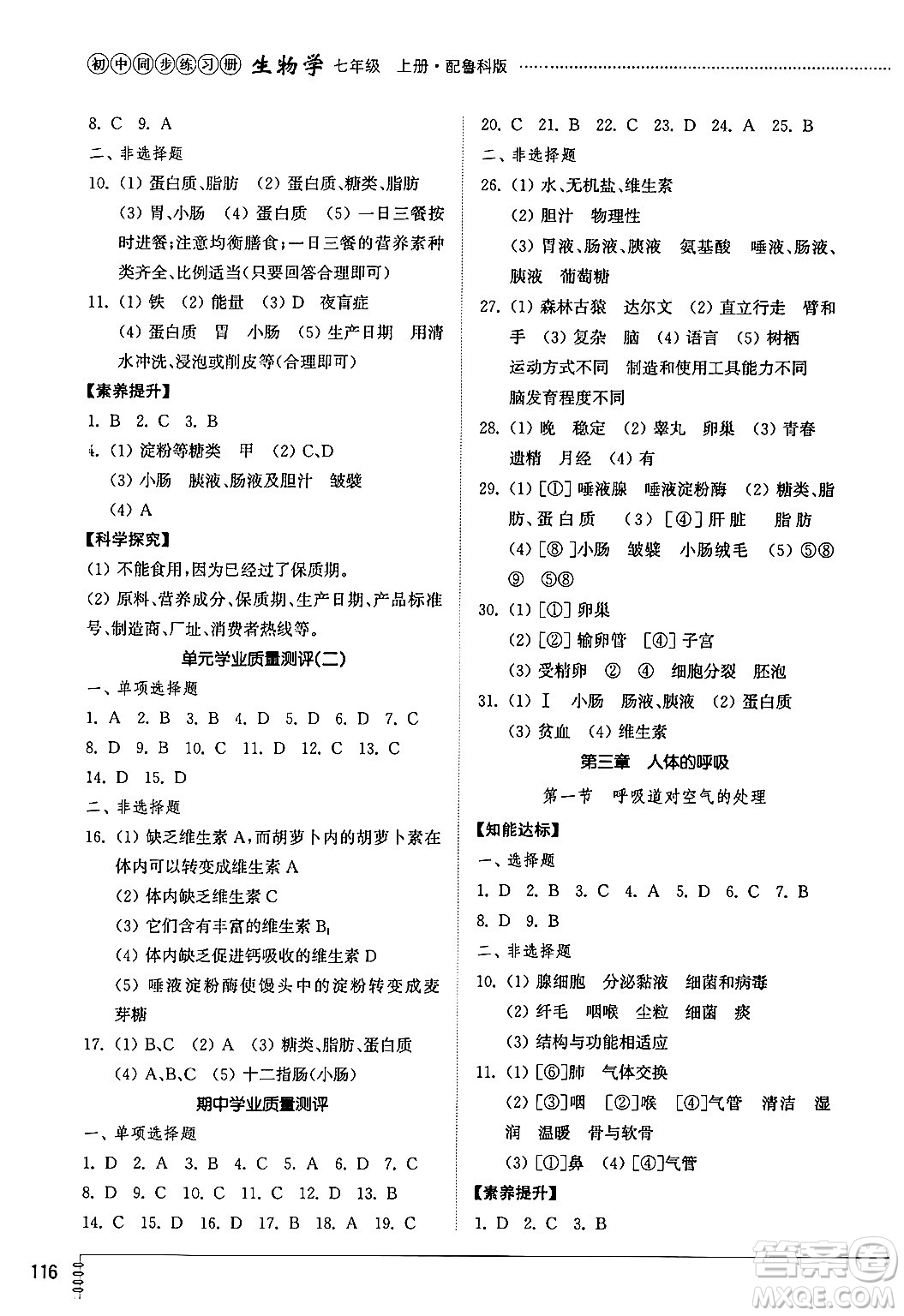 山東教育出版社2024秋初中同步練習(xí)冊七年級(jí)生物上冊魯科版五四制答案