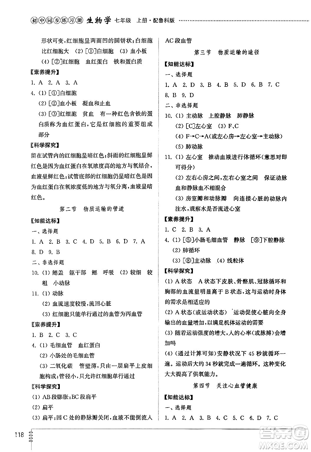 山東教育出版社2024秋初中同步練習(xí)冊七年級(jí)生物上冊魯科版五四制答案