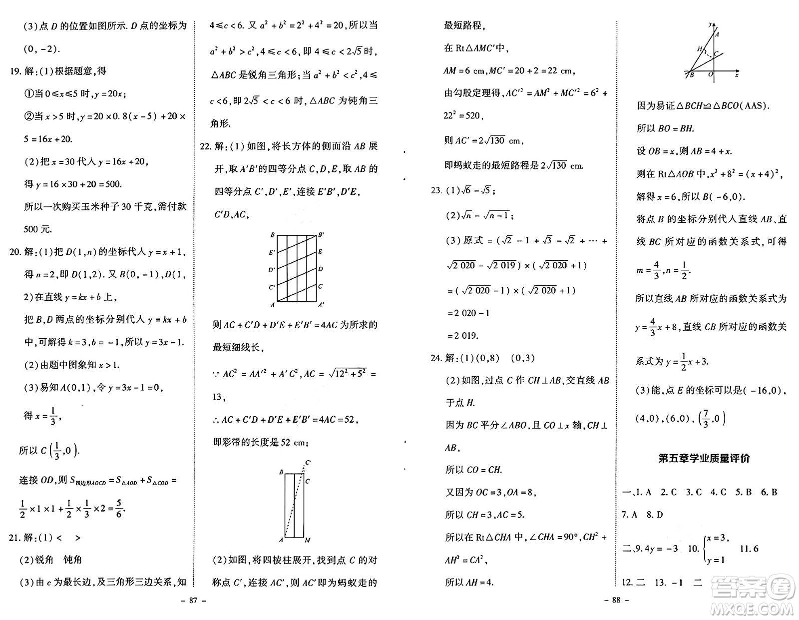 北京師范大學(xué)出版社2024秋初中同步練習(xí)冊八年級(jí)數(shù)學(xué)上冊北師大版答案