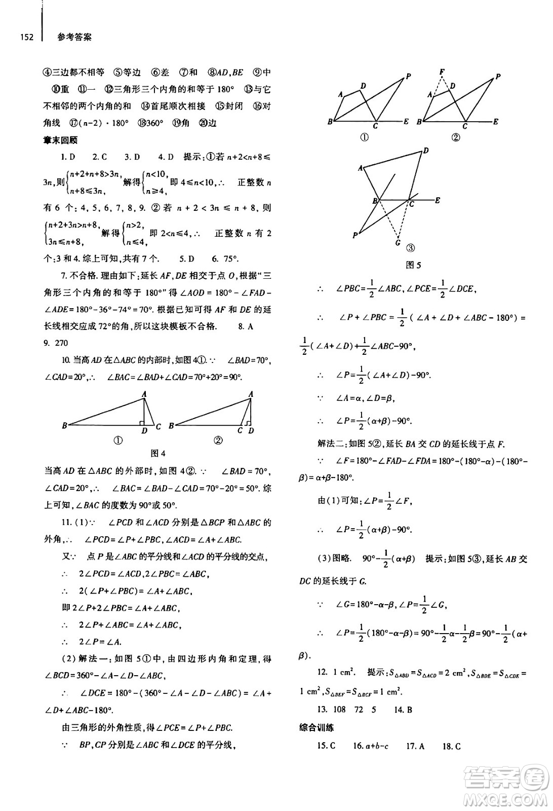 大象出版社2024秋初中同步練習(xí)冊八年級數(shù)學(xué)上冊人教版山東專版答案