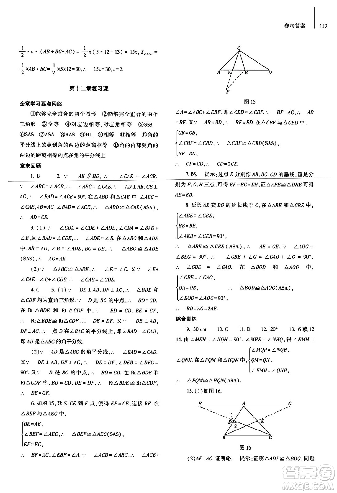 大象出版社2024秋初中同步練習(xí)冊八年級數(shù)學(xué)上冊人教版山東專版答案