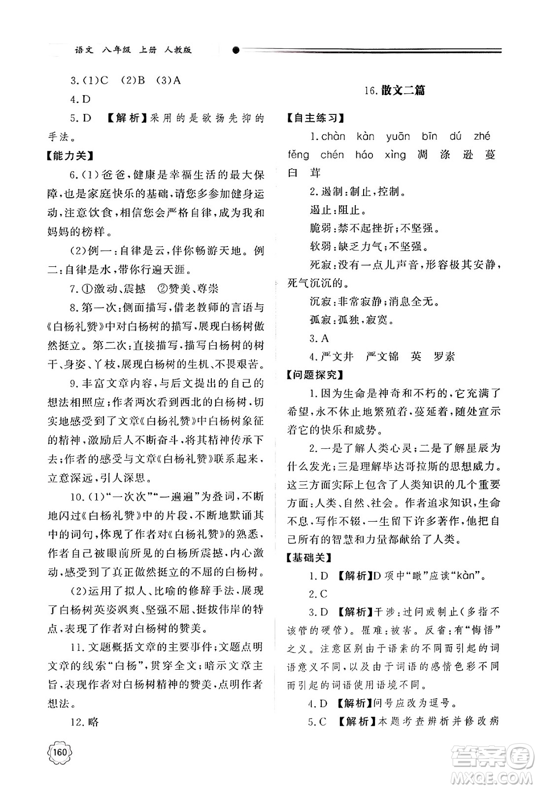明天出版社2024秋初中同步練習冊八年級語文上冊人教版山東專版答案