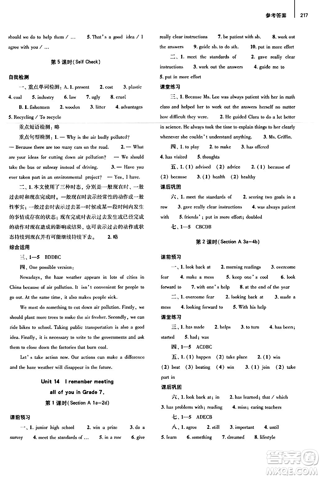大象出版社2025秋初中同步練習(xí)冊(cè)九年級(jí)英語(yǔ)全一冊(cè)人教版山東專版答案