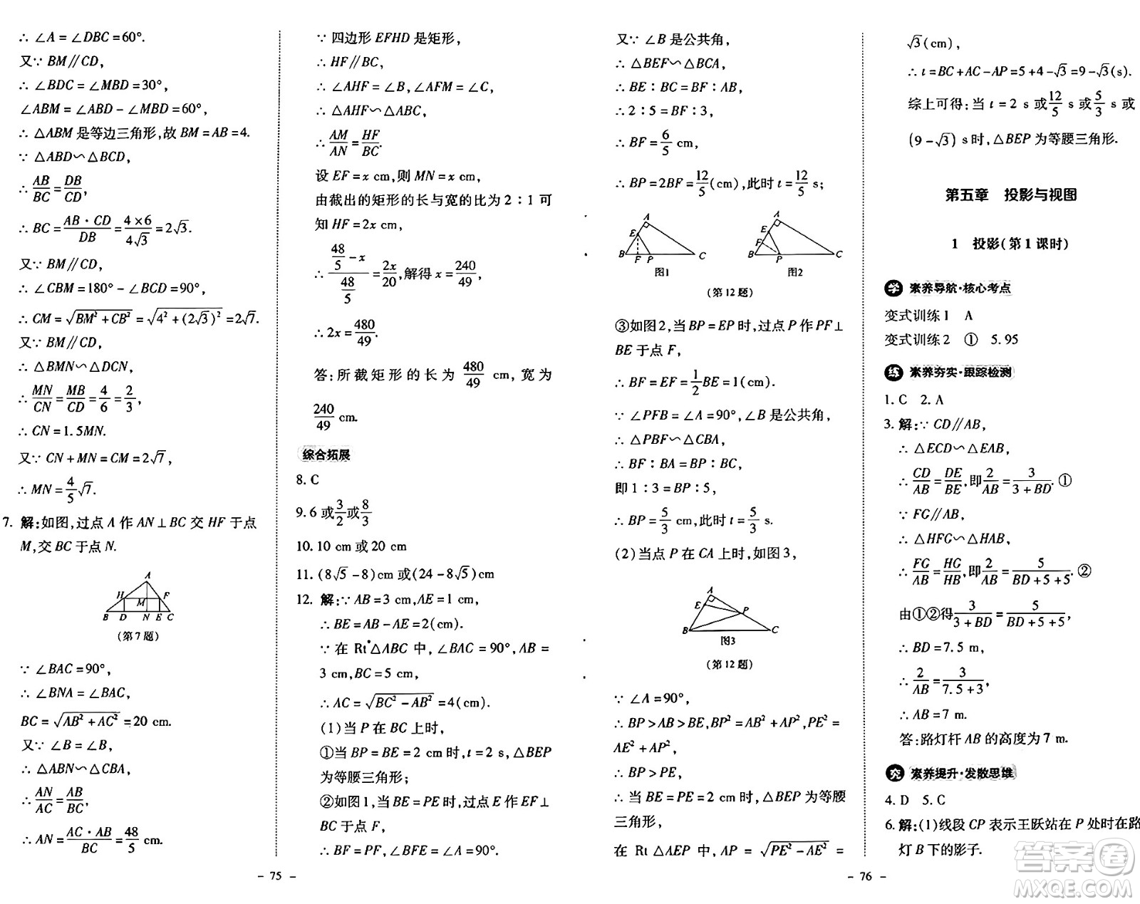 北京師范大學出版社2024秋初中同步練習冊九年級數(shù)學上冊北師大版答案