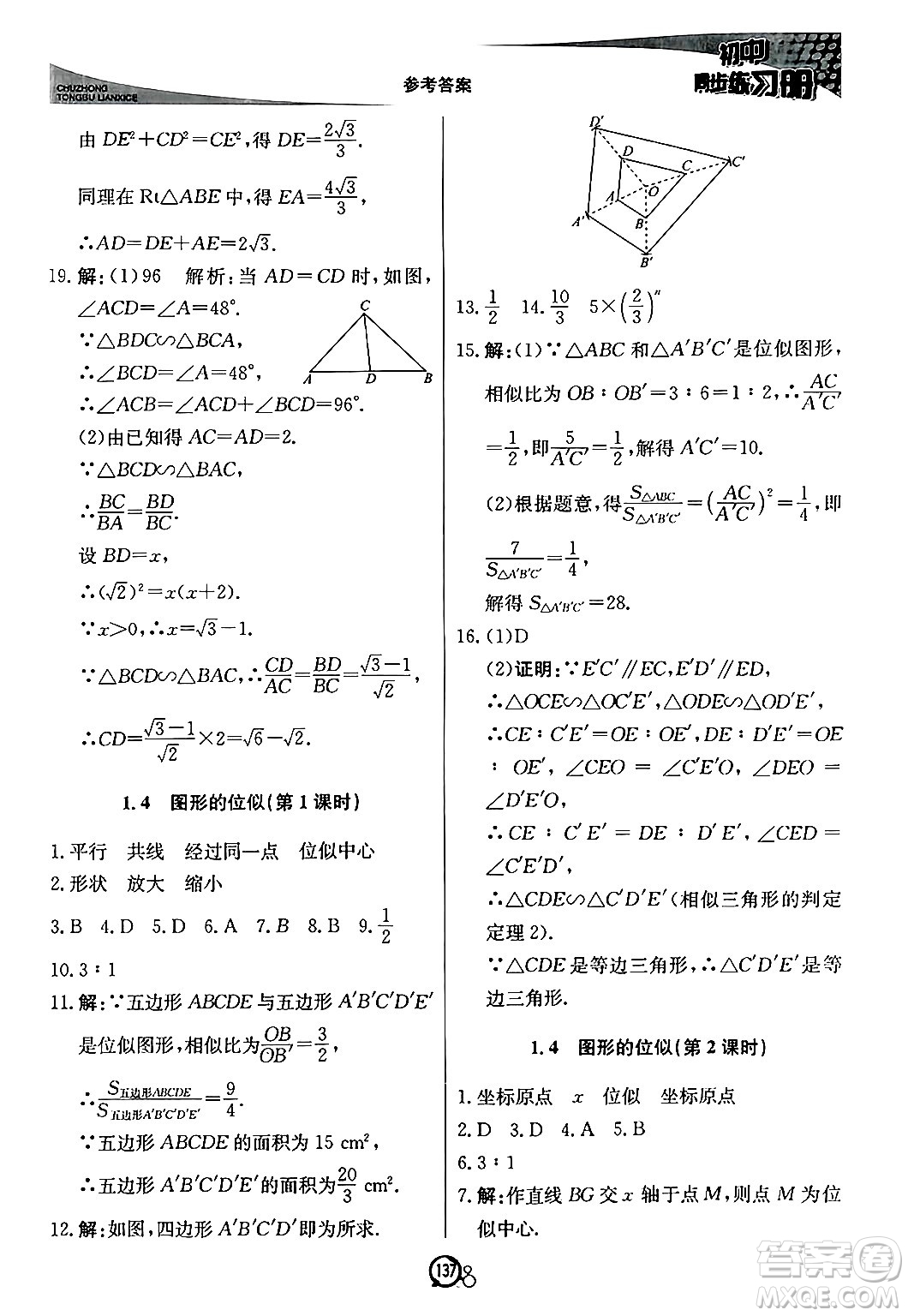 北京教育出版社2024秋初中同步練習(xí)冊(cè)九年級(jí)數(shù)學(xué)上冊(cè)青島版答案