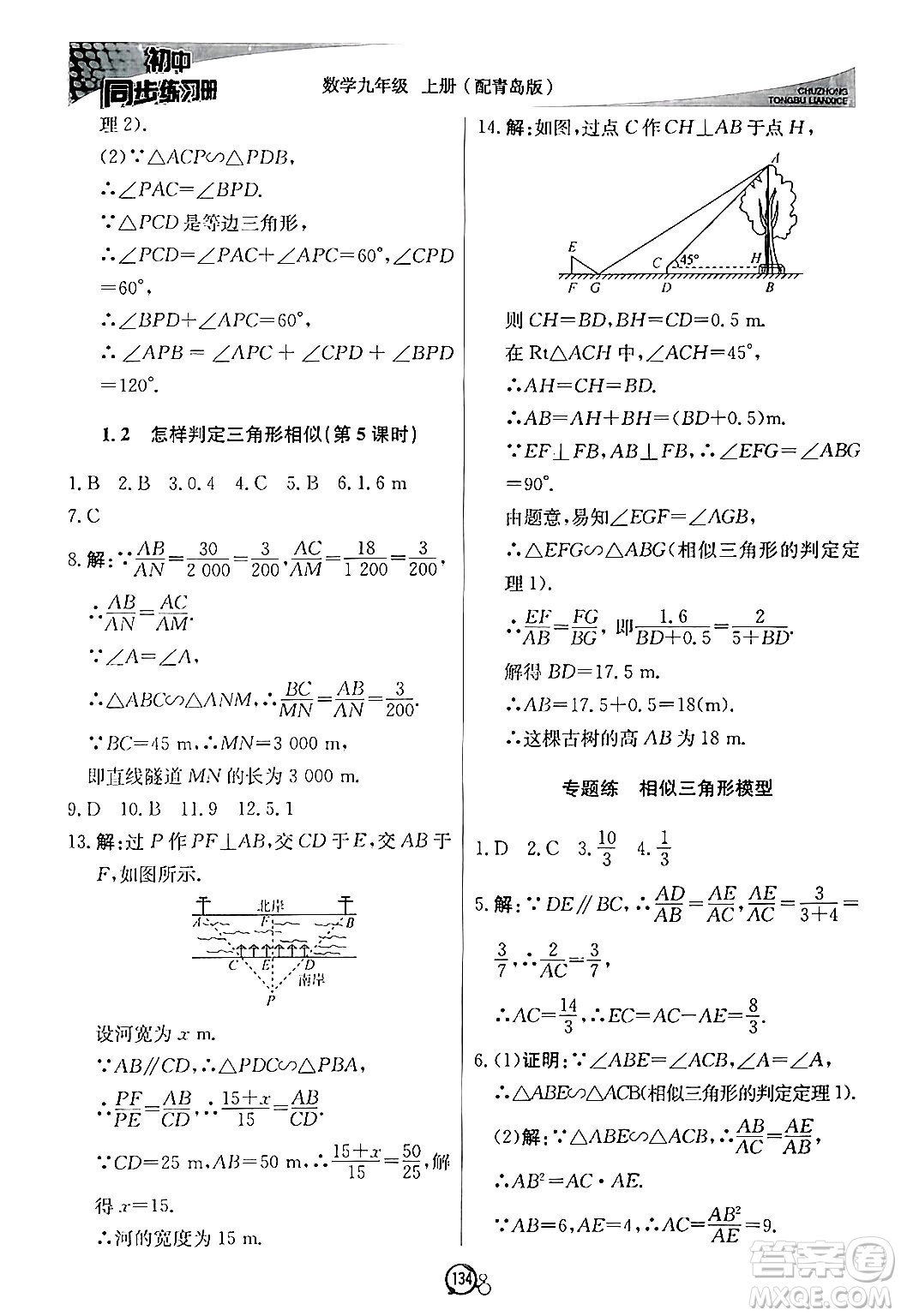 北京教育出版社2024秋初中同步練習(xí)冊(cè)九年級(jí)數(shù)學(xué)上冊(cè)青島版答案