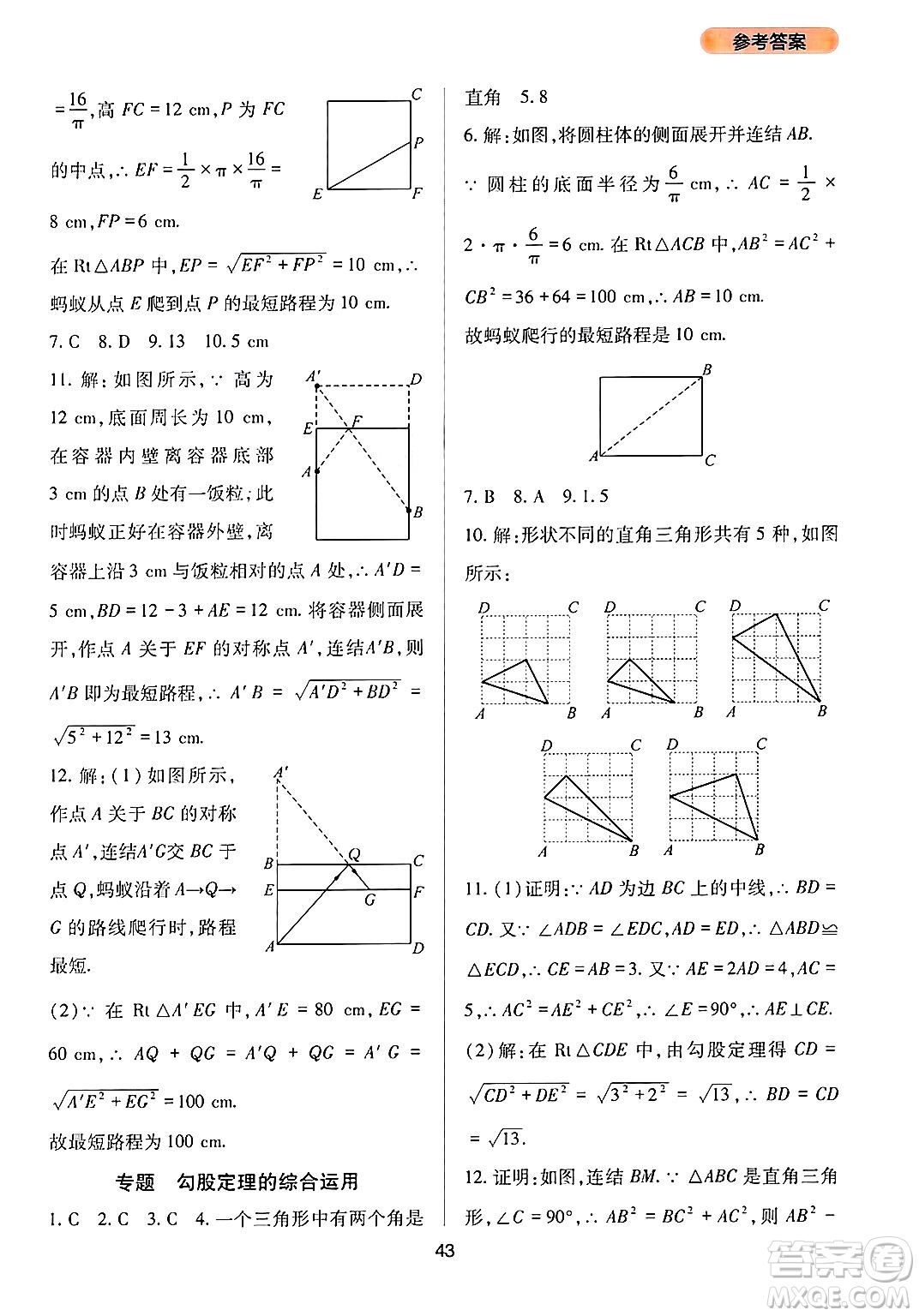 四川教育出版社2024年秋新課程實(shí)踐與探究叢書(shū)八年級(jí)數(shù)學(xué)上冊(cè)華師大版答案