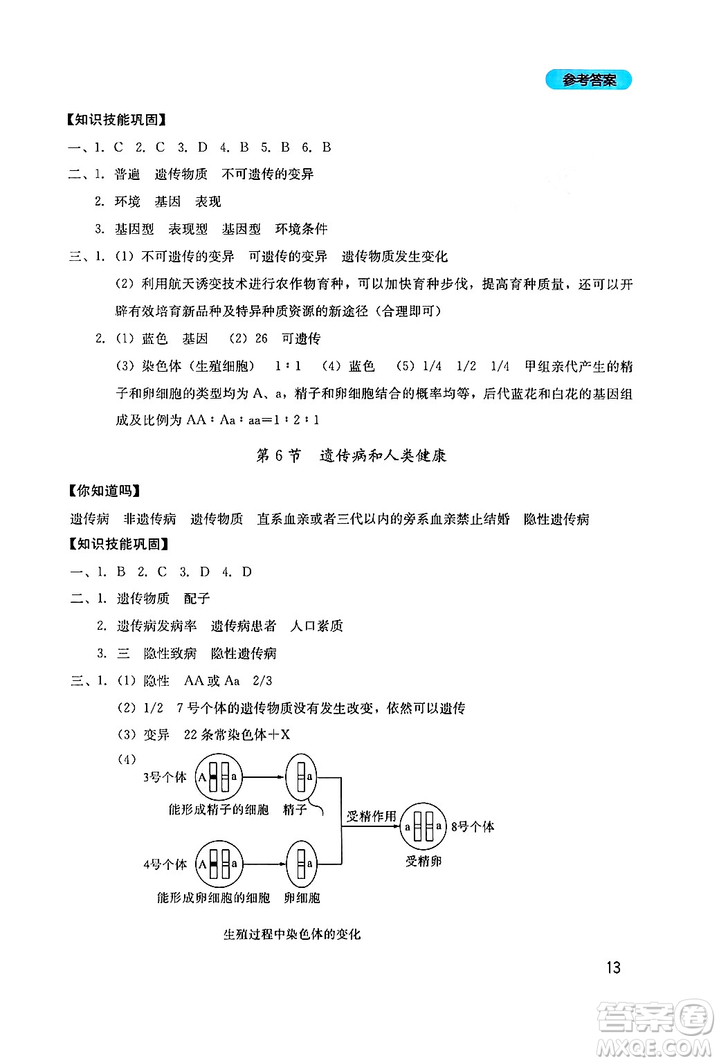 四川教育出版社2024年秋新課程實(shí)踐與探究叢書八年級生物上冊北師大版答案