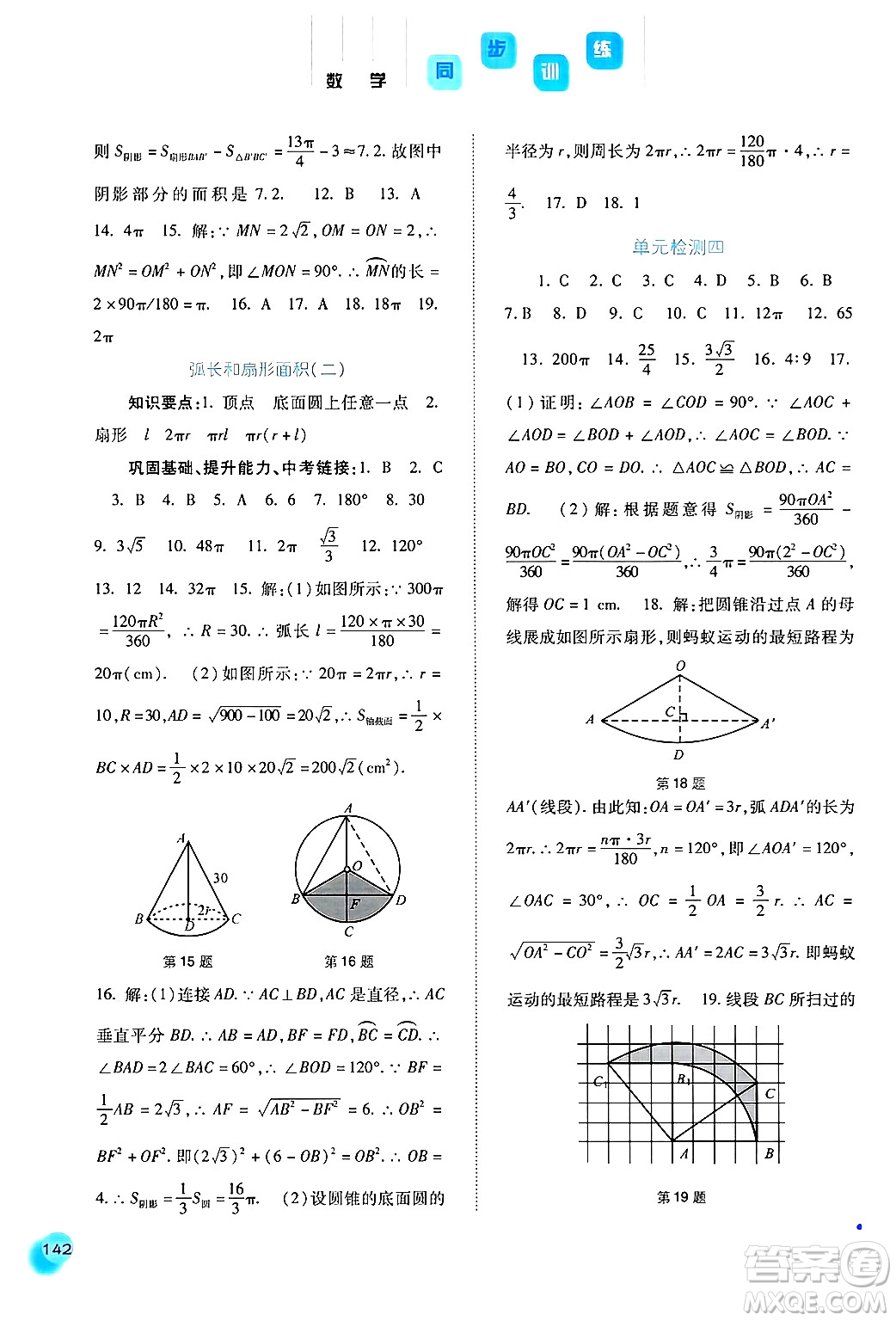 河北人民出版社2024年秋同步訓練九年級數(shù)學上冊人教版答案