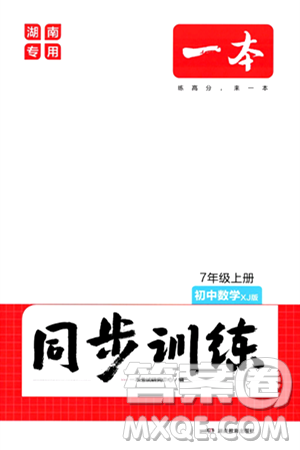 湖南教育出版社2024年秋一本同步訓(xùn)練七年級(jí)數(shù)學(xué)上冊(cè)湘教版答案