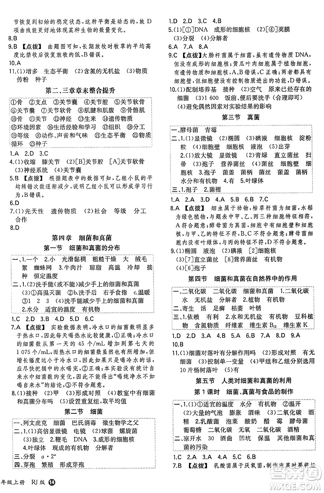 湖南教育出版社2024年秋一本同步訓(xùn)練八年級生物上冊人教版答案