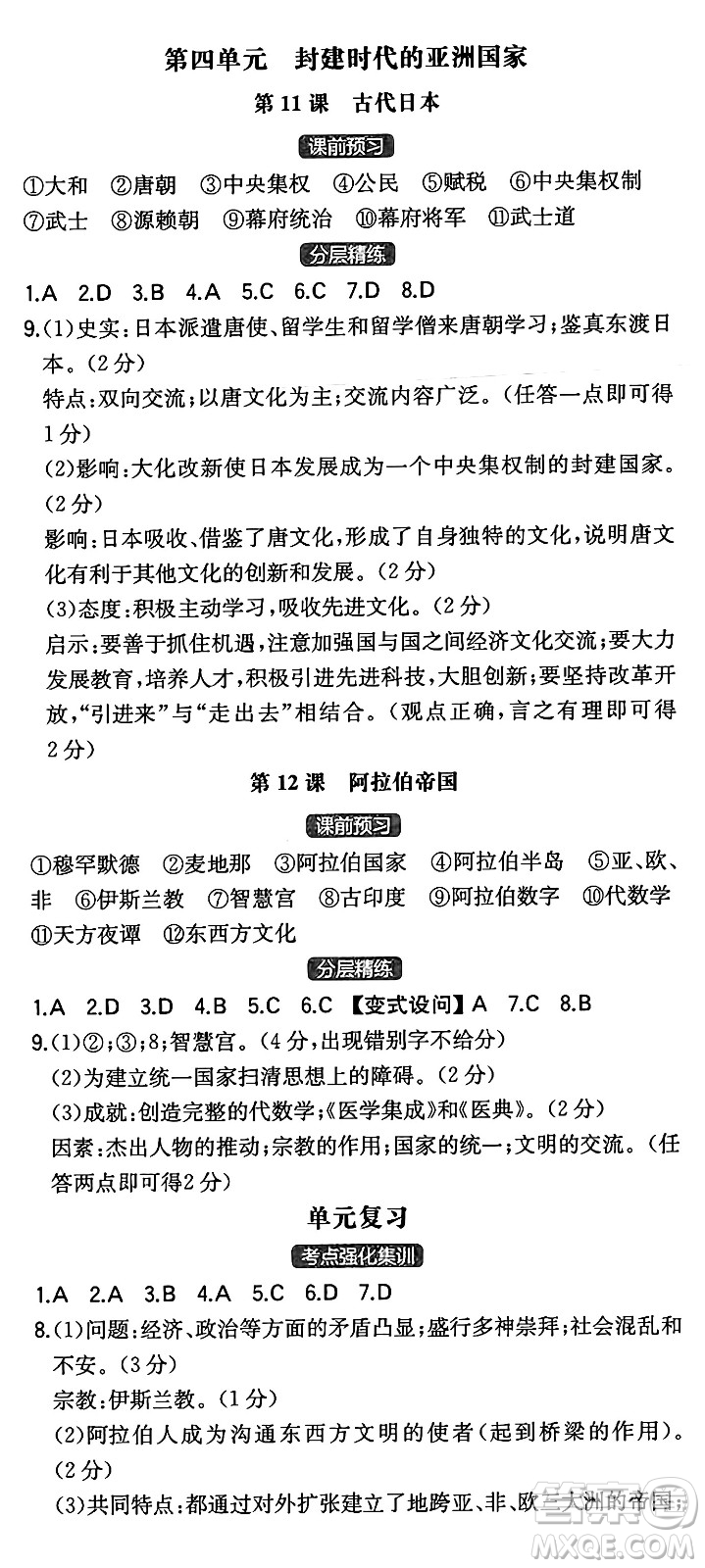 湖南教育出版社2024年秋一本同步訓(xùn)練九年級歷史上冊人教版陜西專版答案
