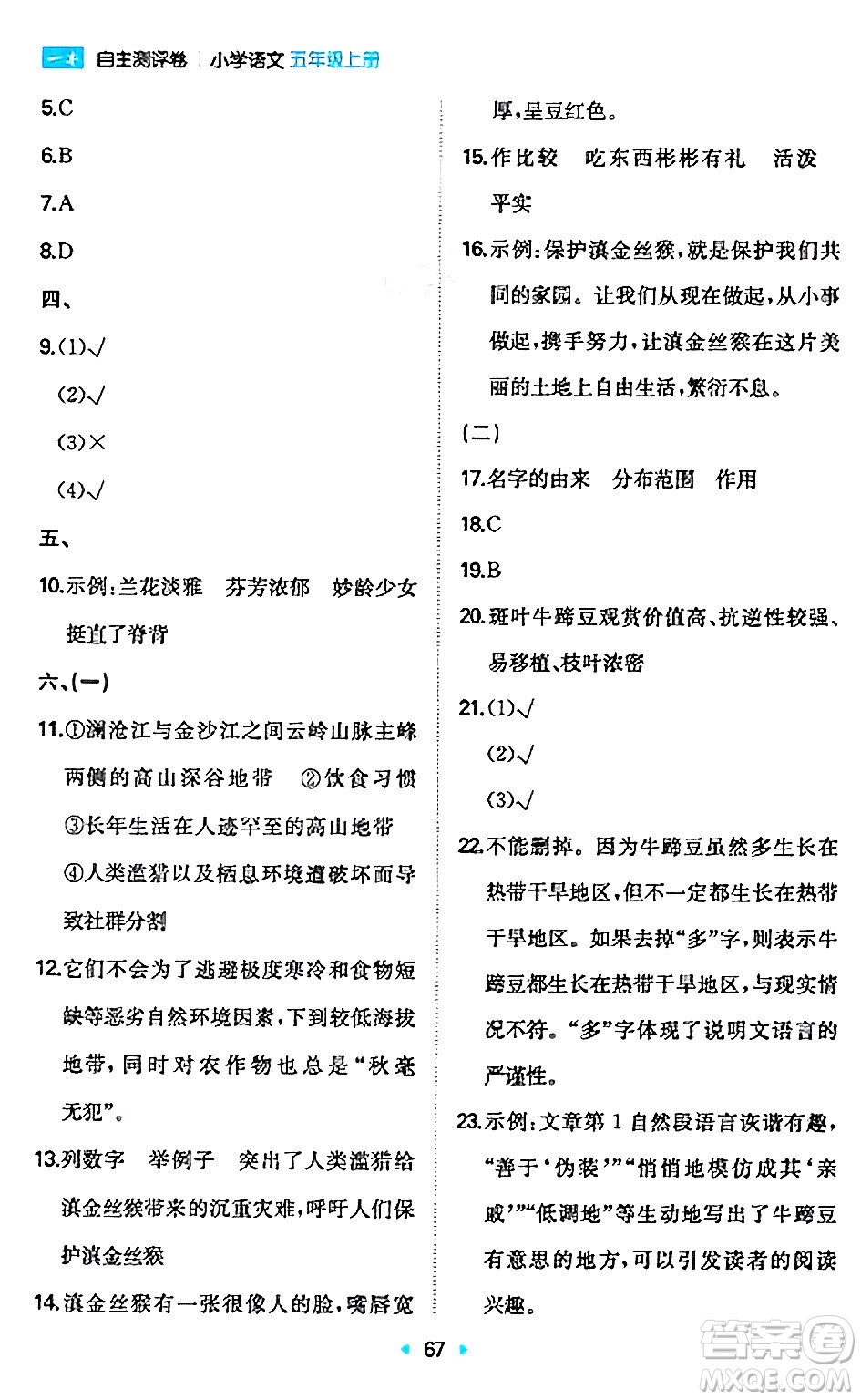 湖南教育出版社2024年秋一本同步訓(xùn)練五年級(jí)語(yǔ)文上冊(cè)人教版答案