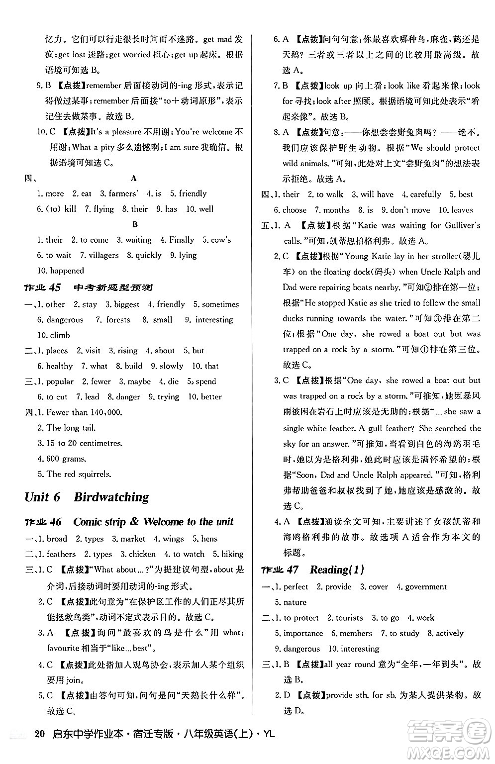 龍門書局2024秋啟東中學(xué)作業(yè)本八年級(jí)英語上冊(cè)譯林版宿遷專版答案