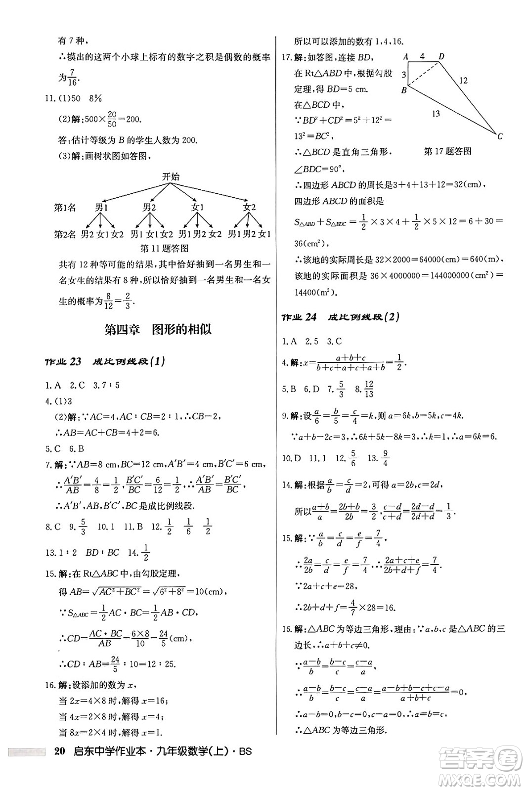 龍門書局2024秋啟東中學(xué)作業(yè)本九年級(jí)數(shù)學(xué)上冊北師大版答案
