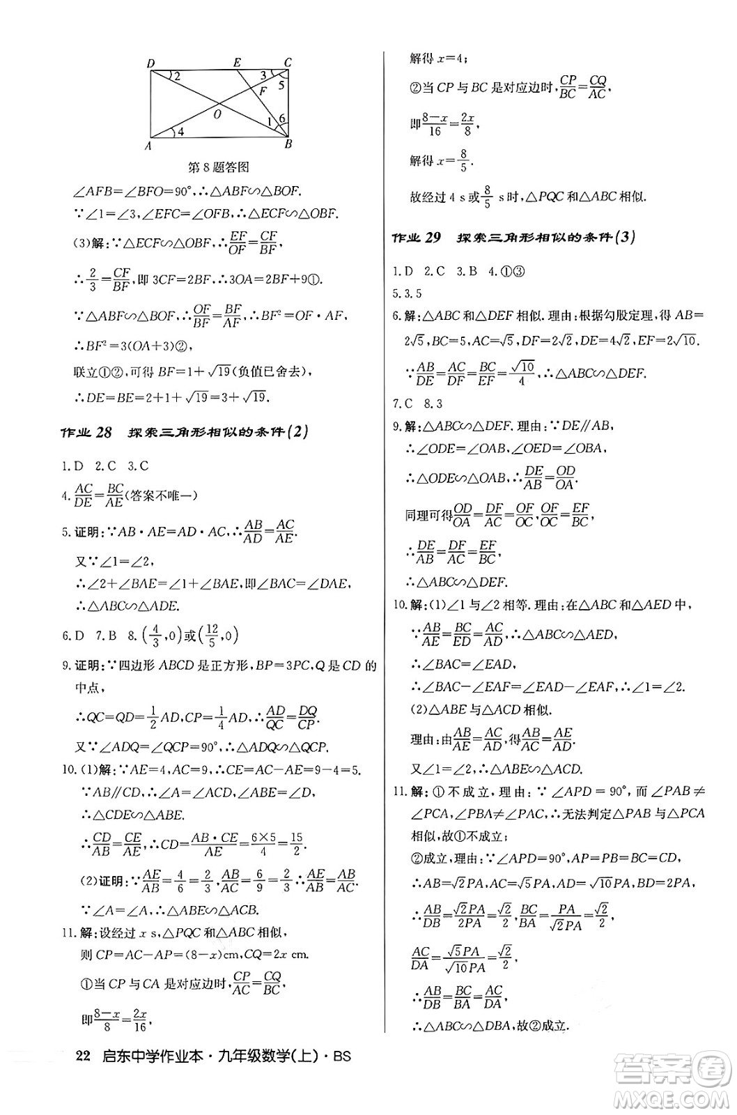 龍門書局2024秋啟東中學(xué)作業(yè)本九年級(jí)數(shù)學(xué)上冊北師大版答案