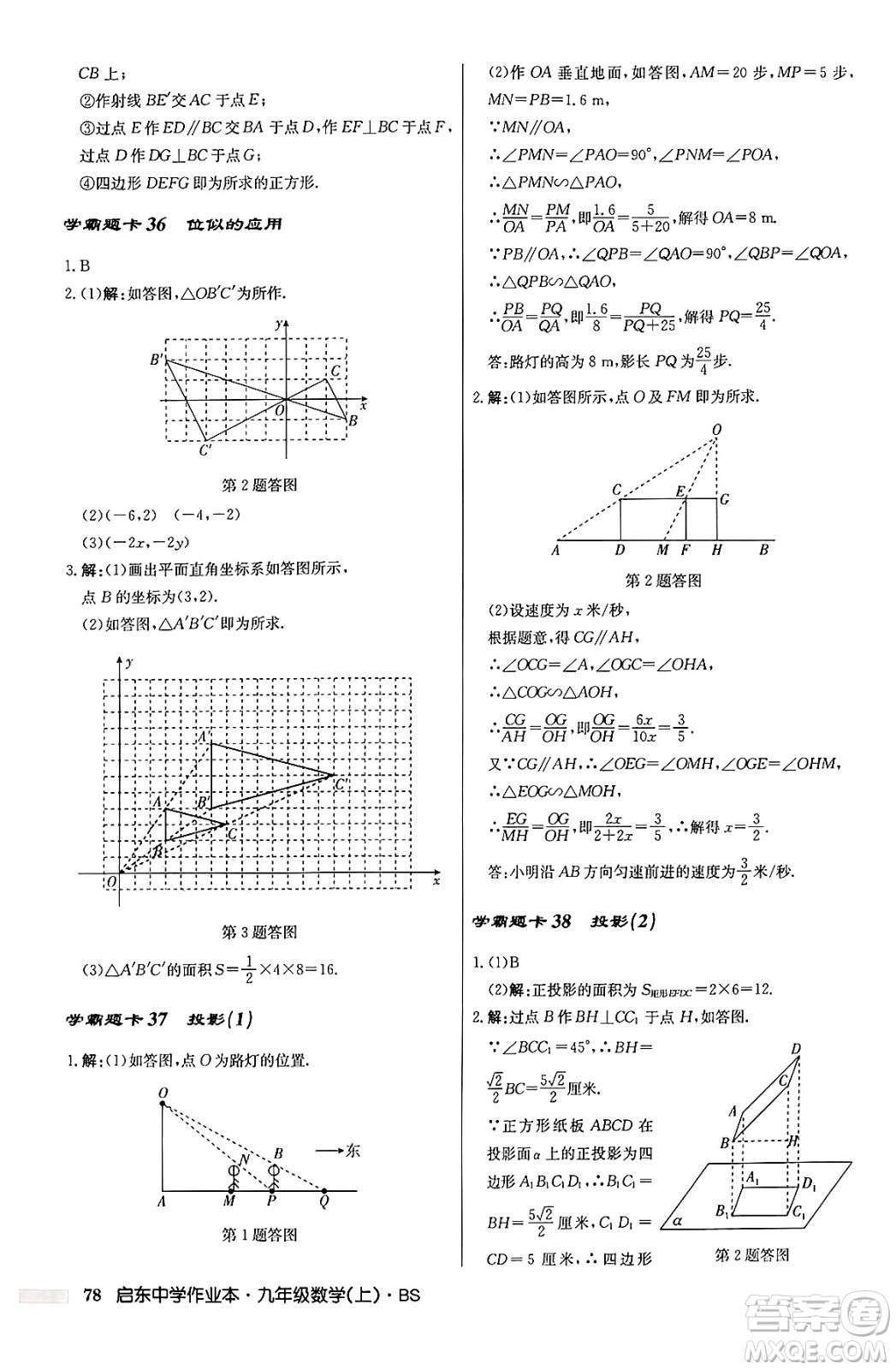 龍門書局2024秋啟東中學(xué)作業(yè)本九年級(jí)數(shù)學(xué)上冊北師大版答案